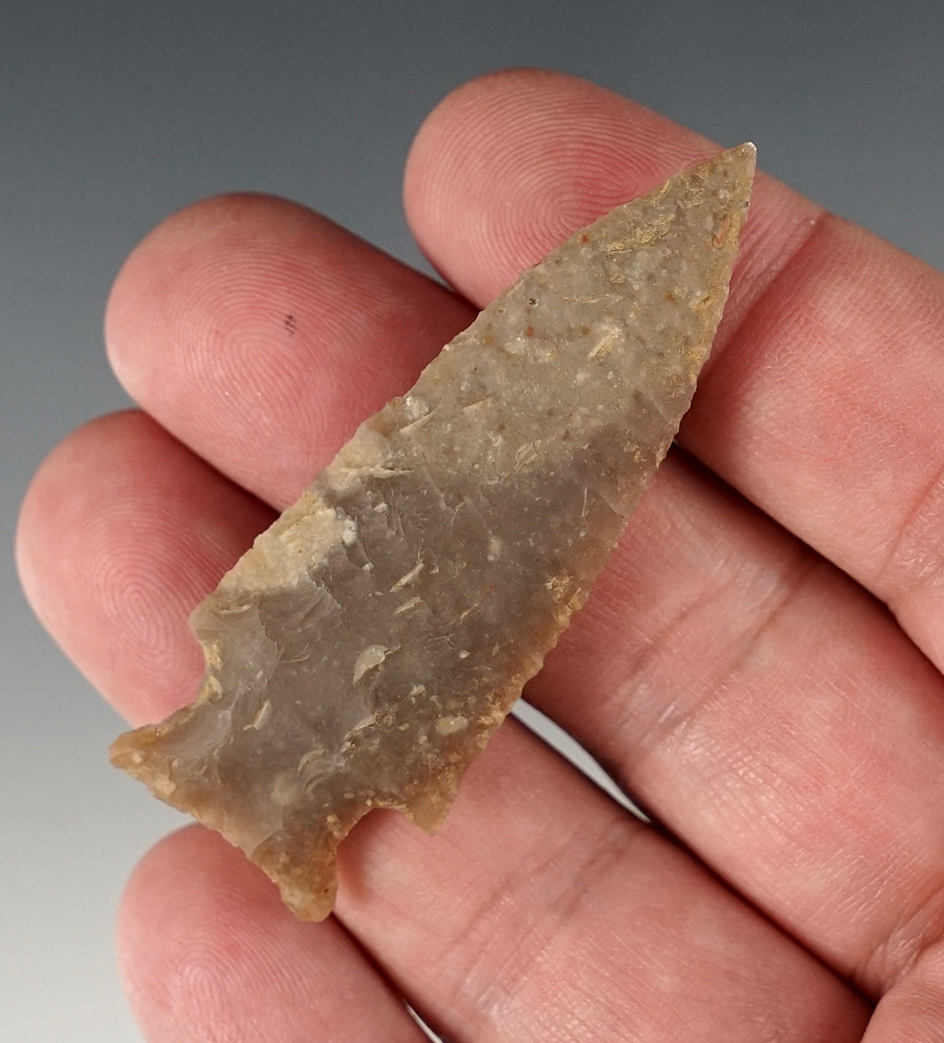 2 3/8" Darl Stemmed found in Williamson Co., Texas. Comes with a Bill Arnold COA.