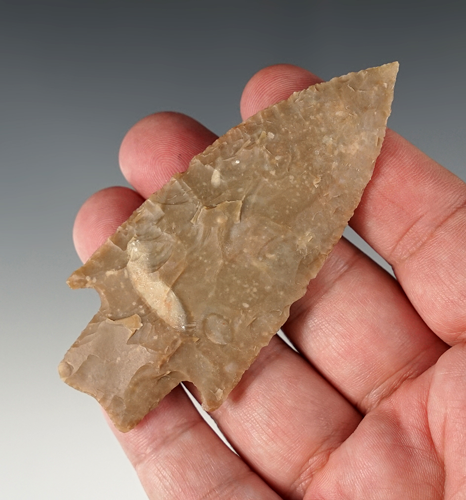 3 1/2" Bulverde made from brown chert, found in Real Co., Texas. Comes with a Rogers COA.