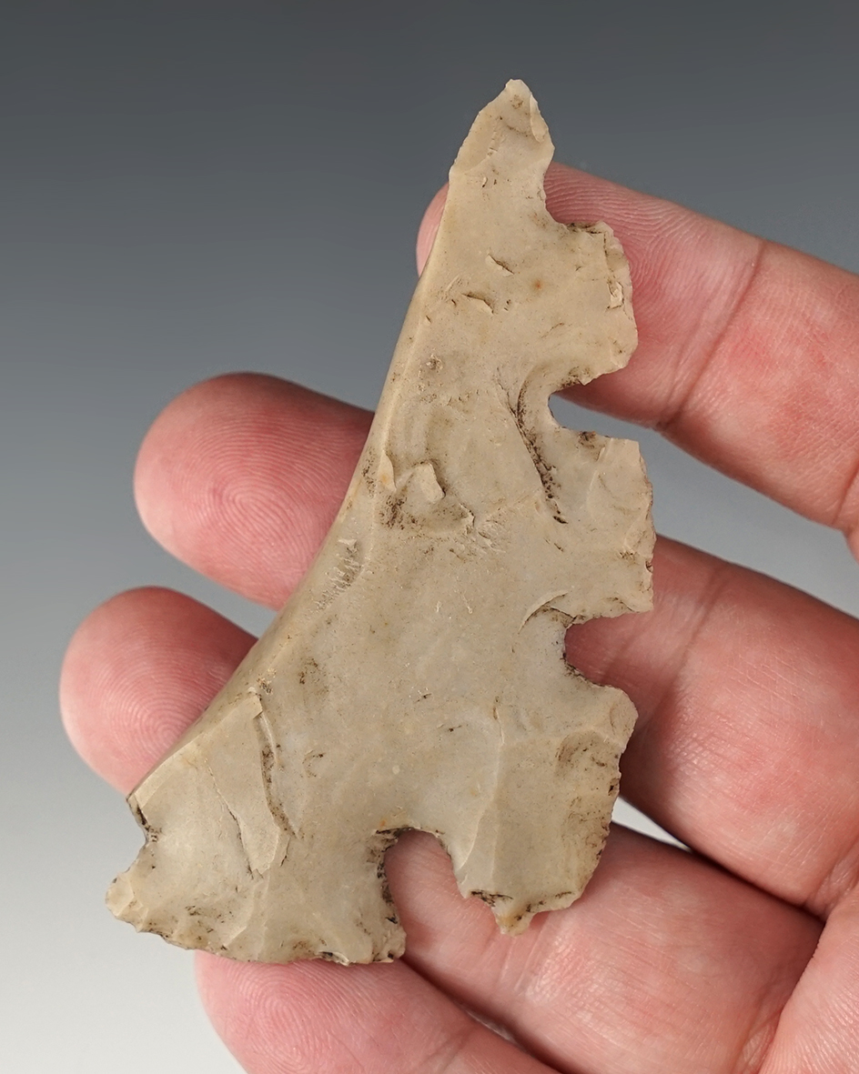 Main artifact image