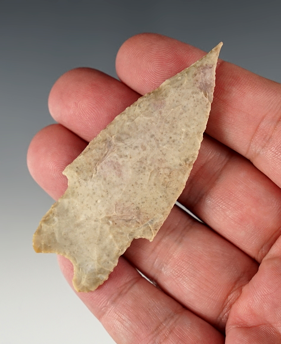 3" Pedernales found in Kerr Co., Texas. Comes with a Rogers COA.