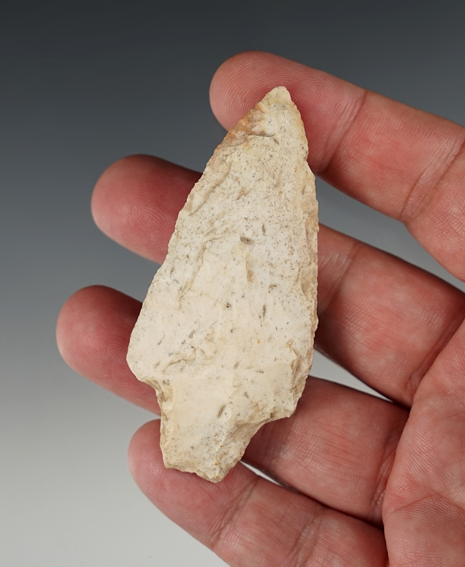 Main artifact image