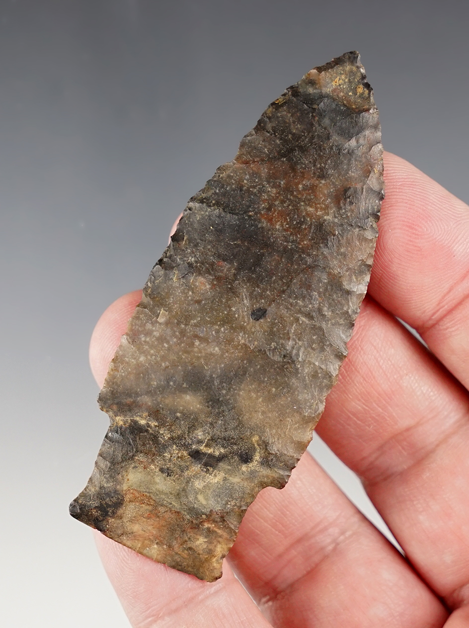 3 1/8" Stringtown Lanceolate found in Coshocton Co., Ohio. Ex. Hill, Wehrle, Hooks. Pictured! 