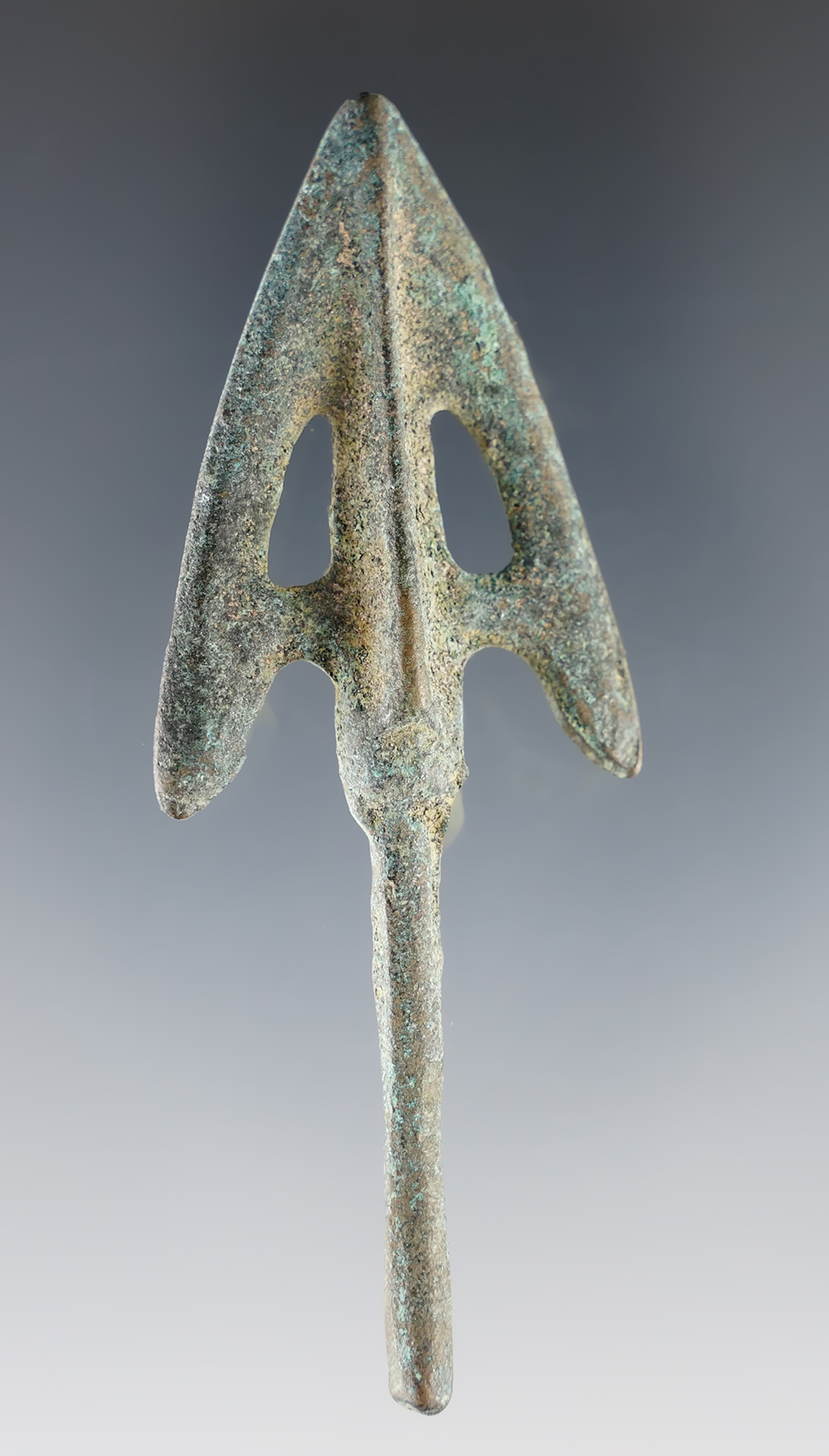 Main artifact image