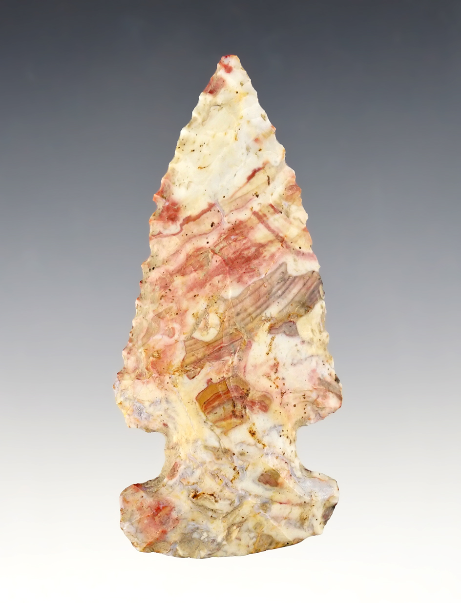 Amazing color on this 3 5/16" Thebes made from Flint Ridge Nethers. Found in Hardin Co., Ohio. 