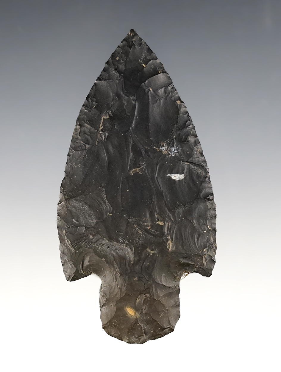 Thin and finely made Adena that measures 3 5/8". Found at the Pipe Creek Site in Erie Co., Ohio. 