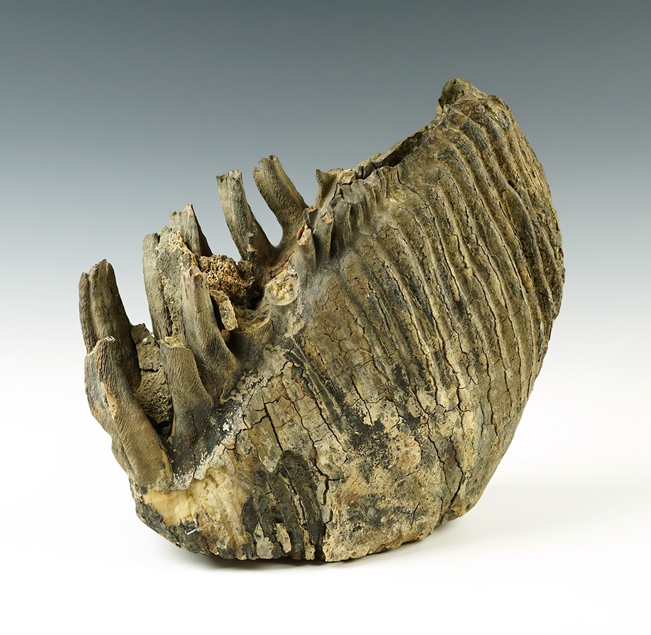Main artifact image