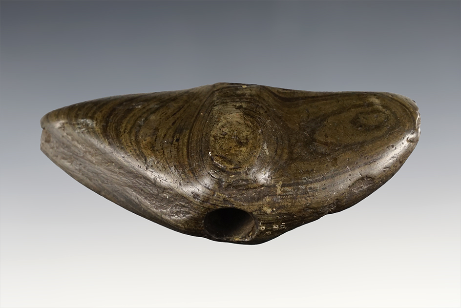 Main artifact image