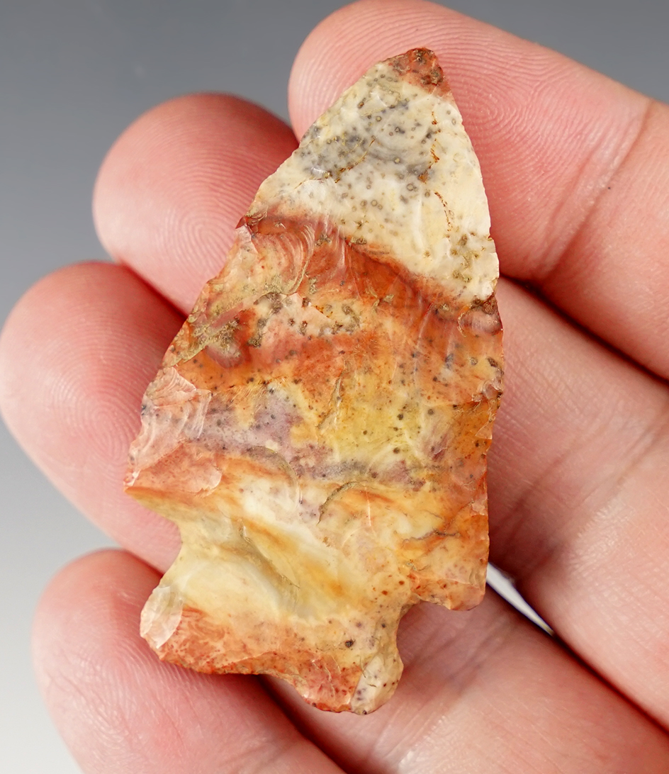 Very colorful 2 1/8" Flint Ridge Flint Bifurcate found in Ohio. 