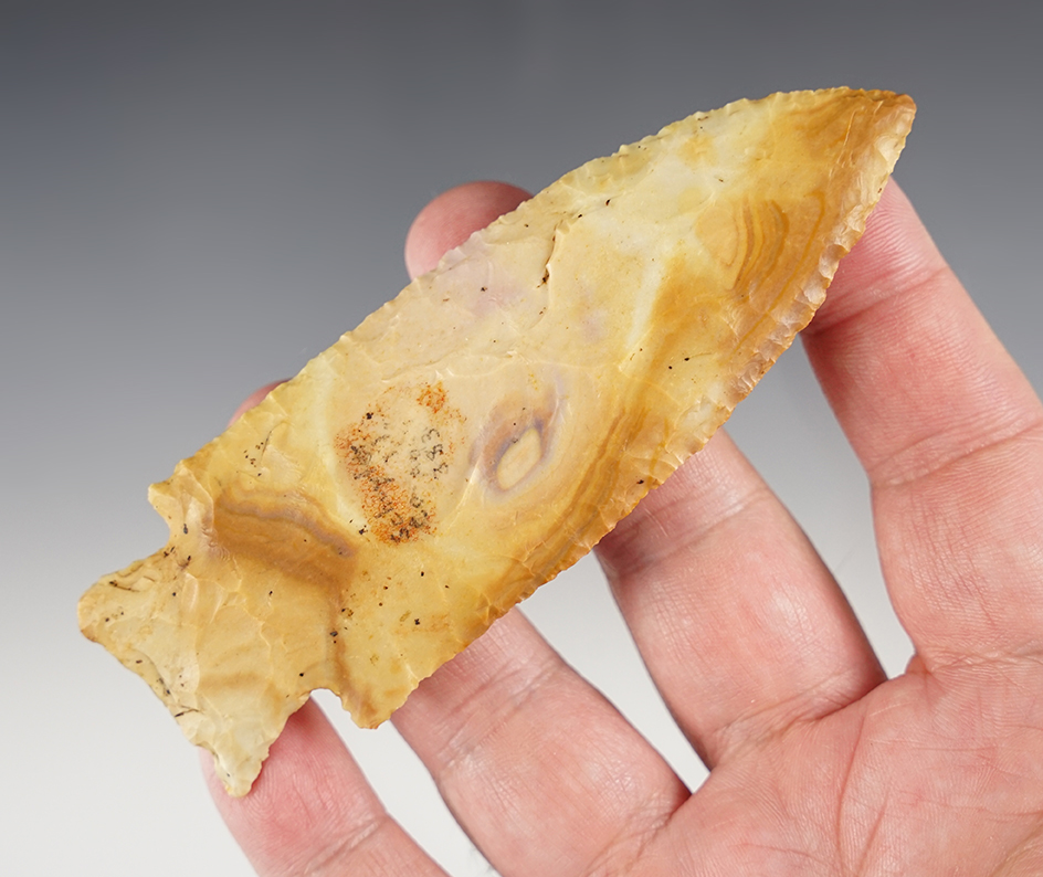 Main artifact image