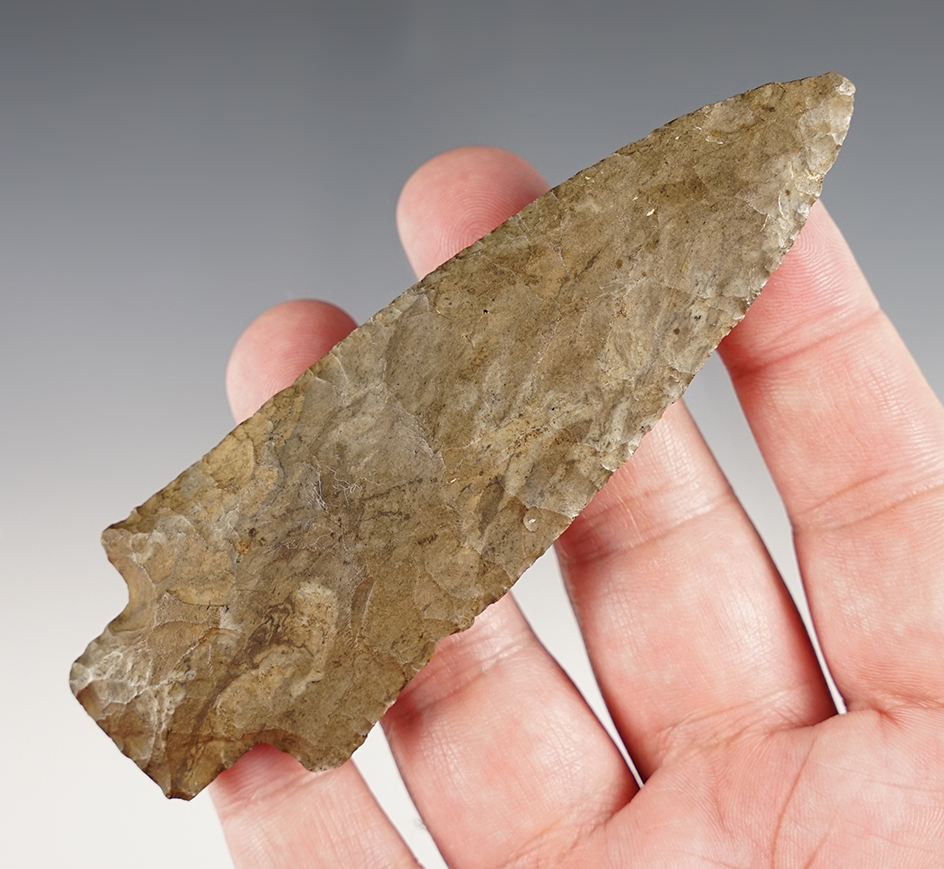 Main artifact image