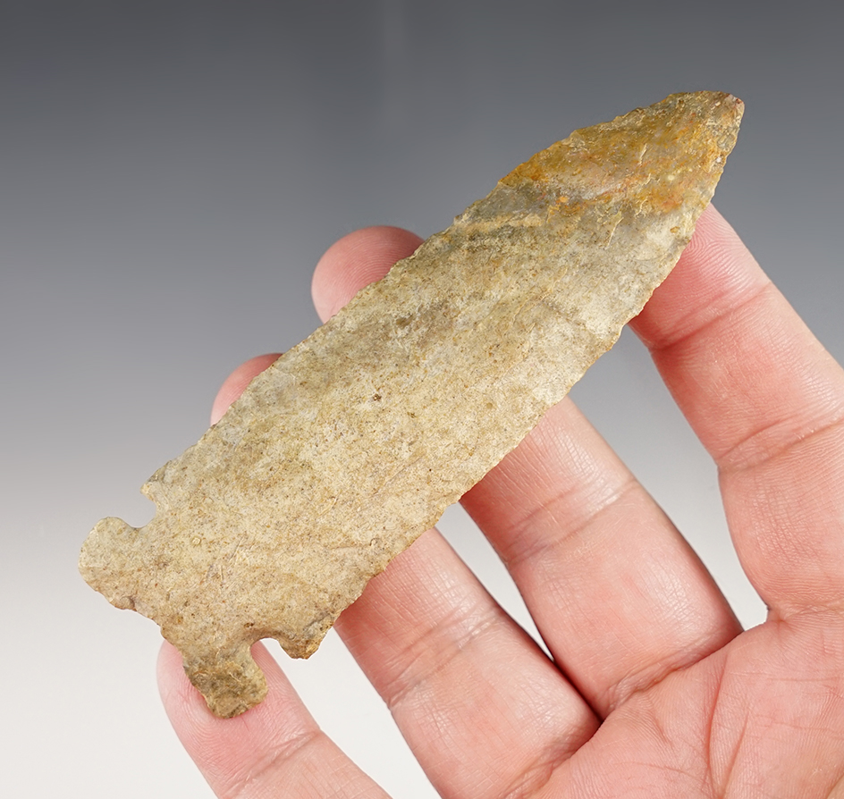 Main artifact image