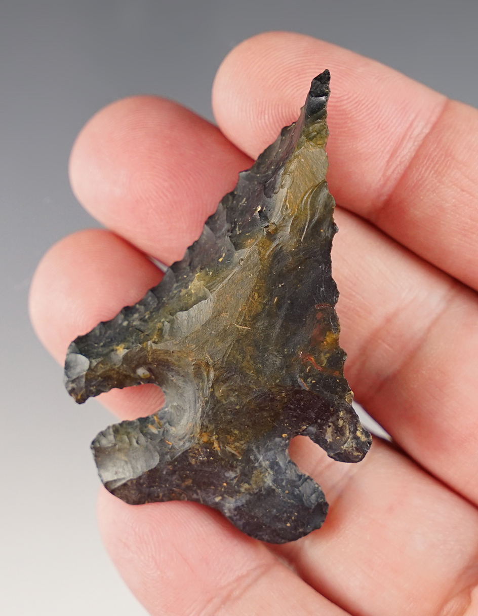 Steeply beveled 2 3/8" Coshocton Flint Archaic Thebes E-Notch Knife found in Marion Co., Ohio. 