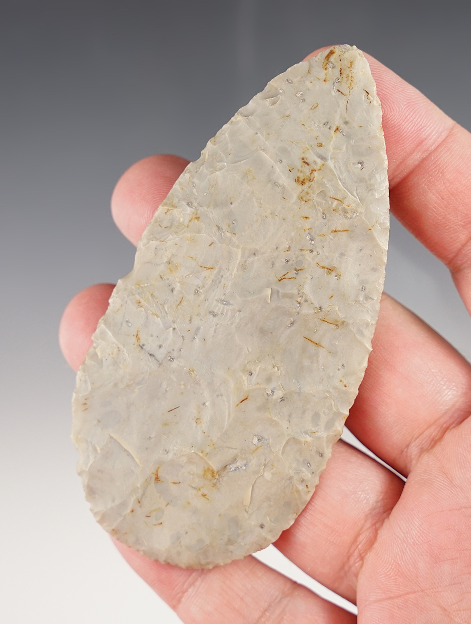 Exceptional flaking on this 3 7/8" Flint Ridge Flint Adena Blade found in Ohio.