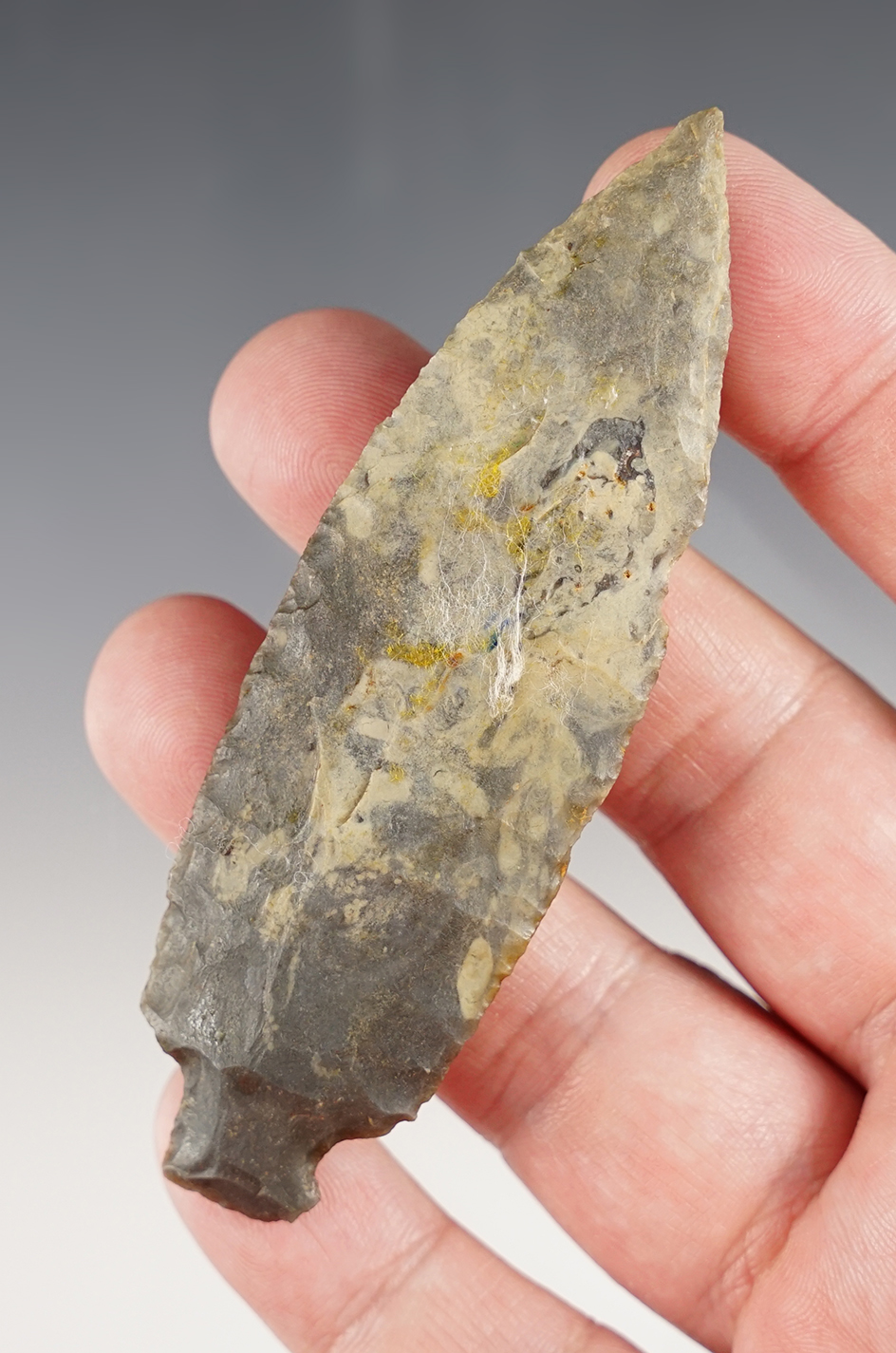 Main artifact image