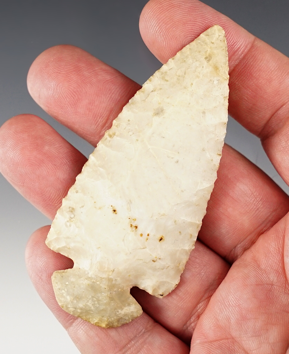 Main artifact image