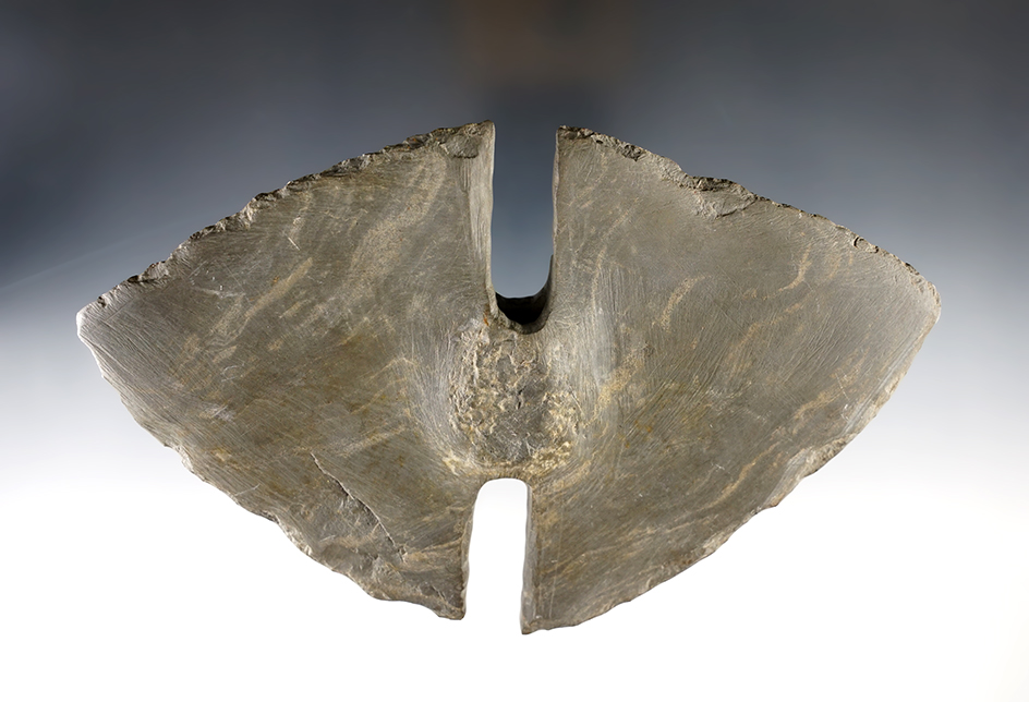 Main artifact image