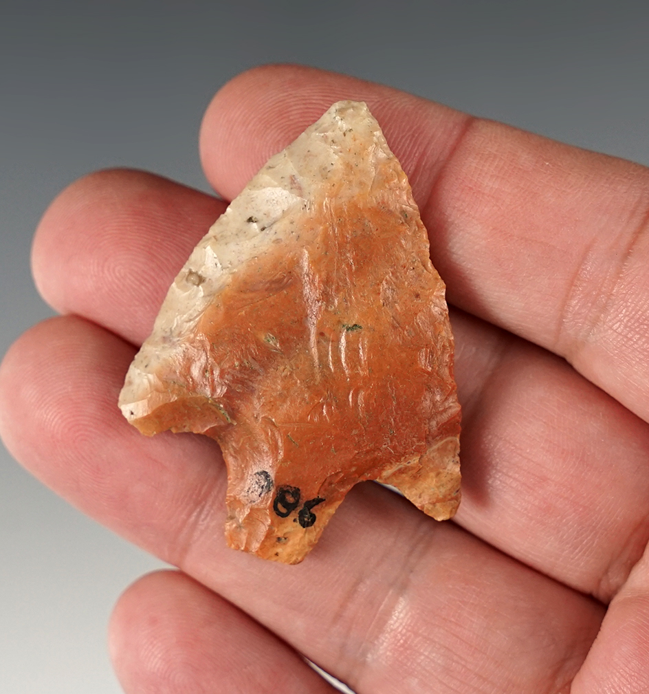Main artifact image