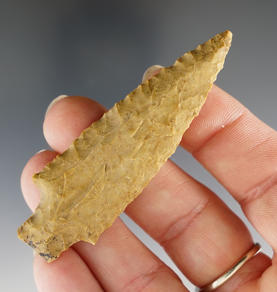 2 11/16" Darl made from tan Chert. Found in Lee Co., Texas at the Gold Sand Site. Rogers COA.