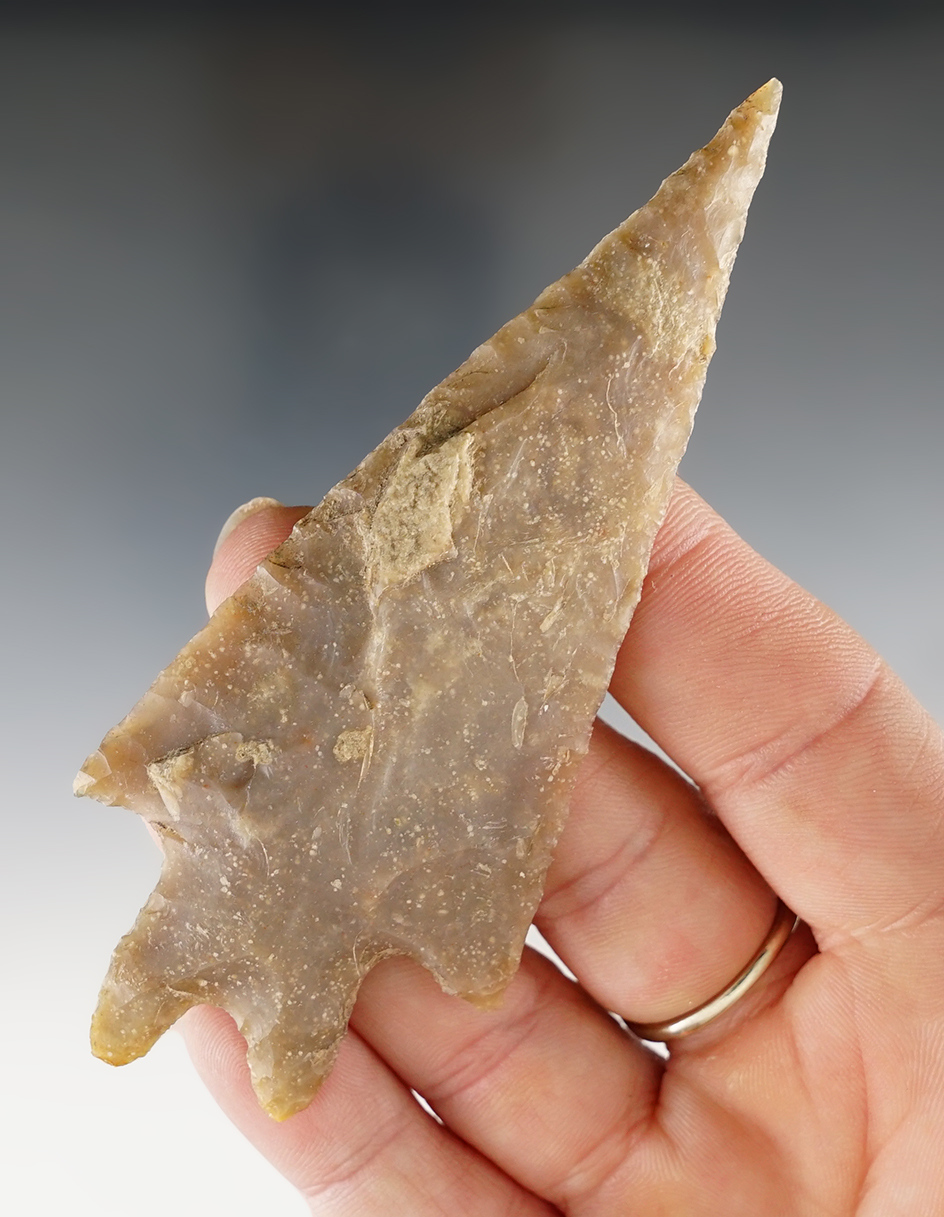 3 7/8" Pedernales broken and glued tight at tip. Found in Bandera Co., Texas. Rogers COA.