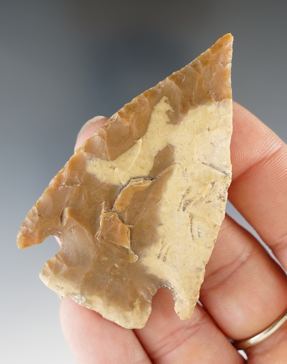 2 1/2" Castroville found by W.M. German along the Little Devils River in Kimble Co., Texas.