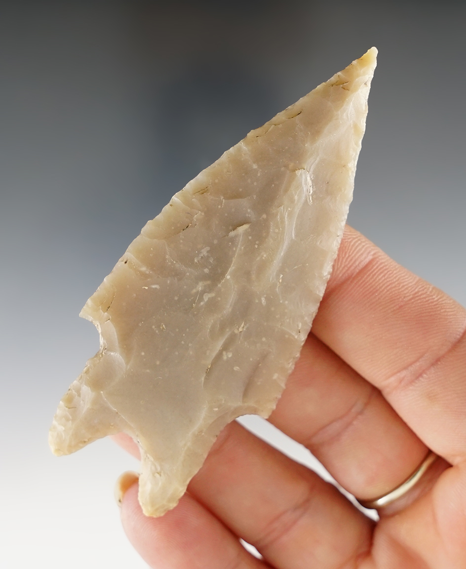 3 3/16" Pedernales found in Uvalde Co., Texas. Comes with a Rogers COA. Ex. Todd Chism Collection.