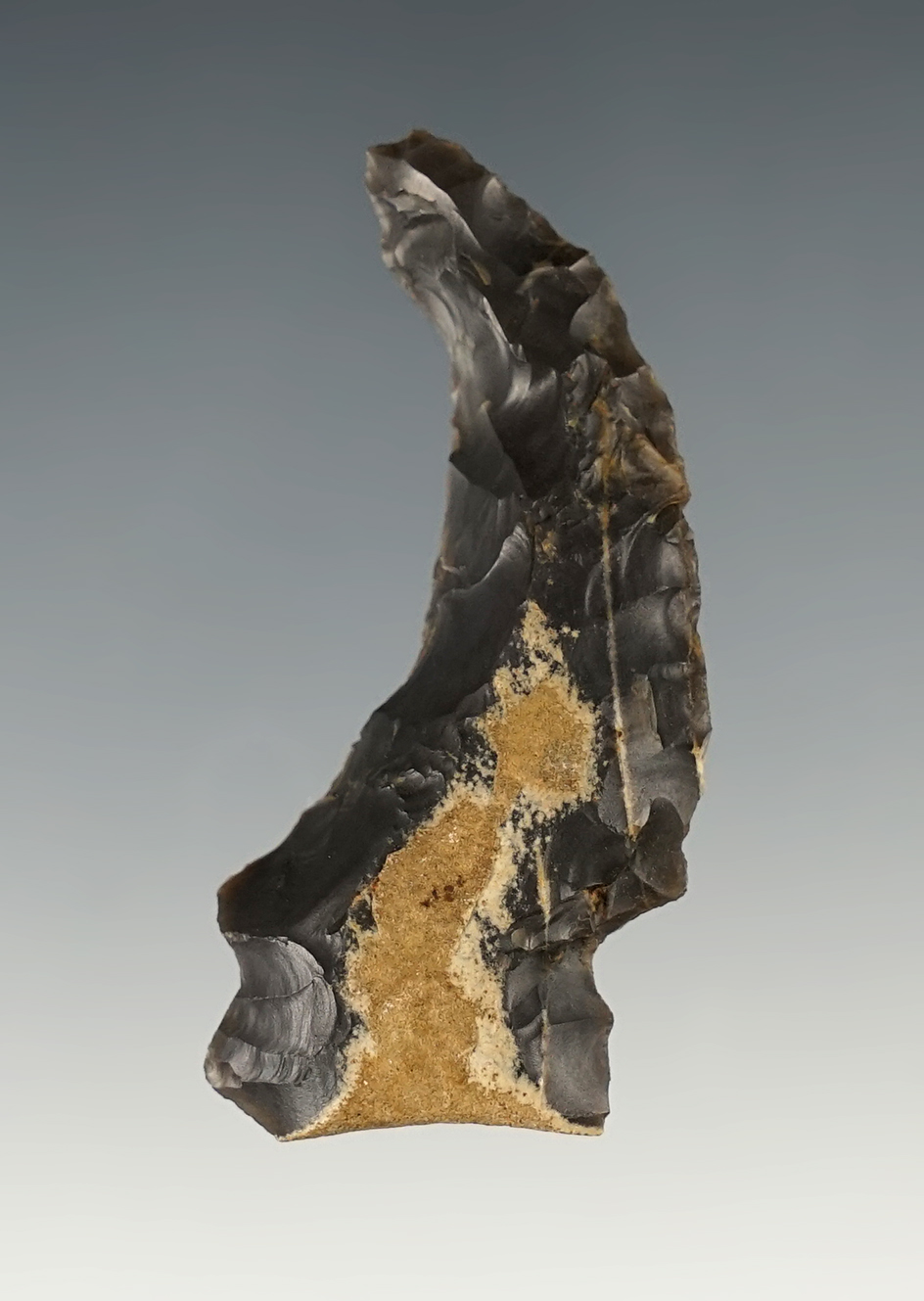 Main artifact image