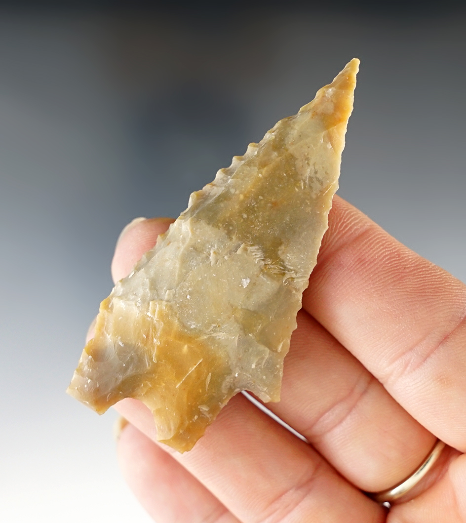 2 9/16" Pedernales found in Wilson Co., Texas. Comes with a Rogers COA. Rogers COA.