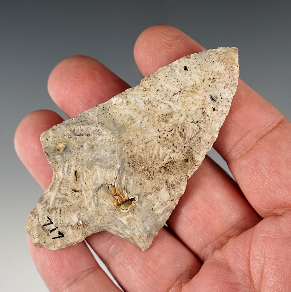 Main artifact image