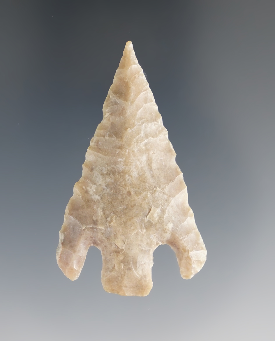 1 15/16" Shumla found in Zapata Co., Texas. Comes with a Rogers COA.