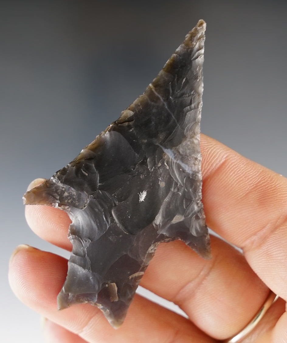 Outstanding 2 3/4" Pedernales found in Travis Co., Texas. Ex. Bill Arnold Collection. Rogers COA.