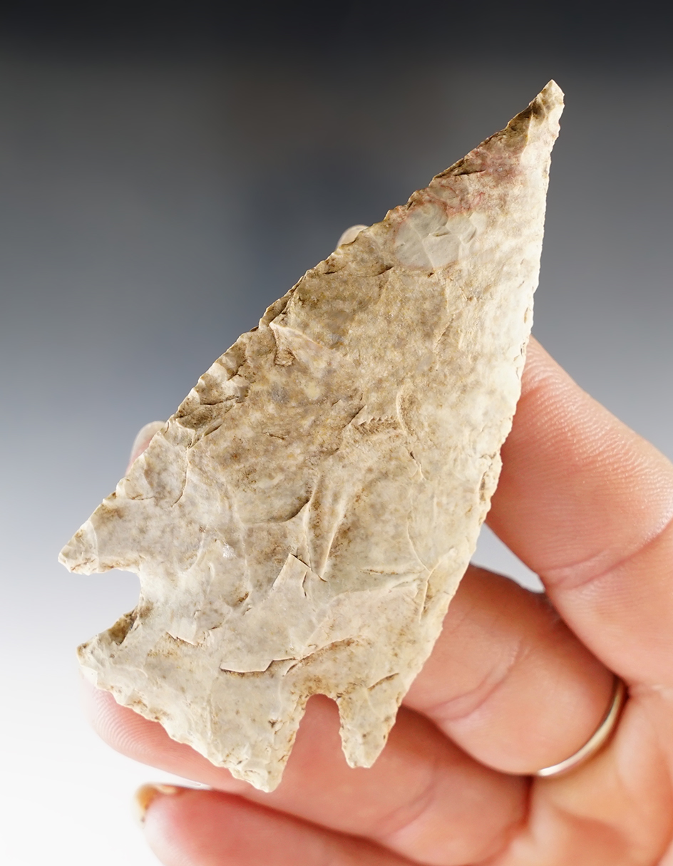 2 15/16" Well made Castroville found in Blanco Co., Texas. Ex. Bill Arnold Collection. Rogers COA.