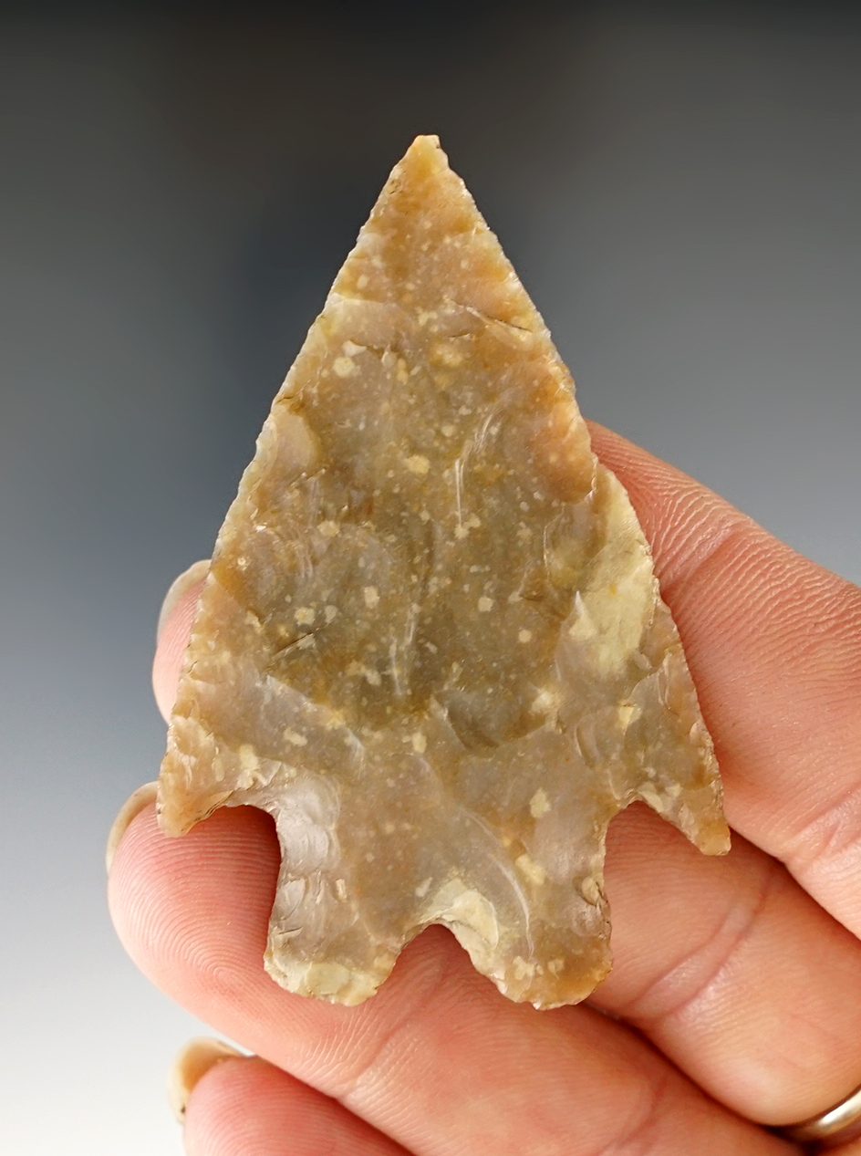 2 1/4" Texas Pedernales that is well made with great flaking.