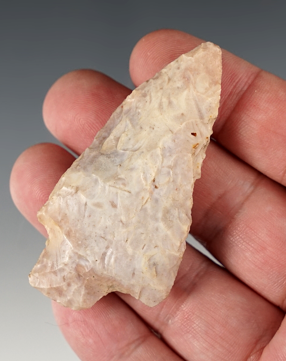 Main artifact image