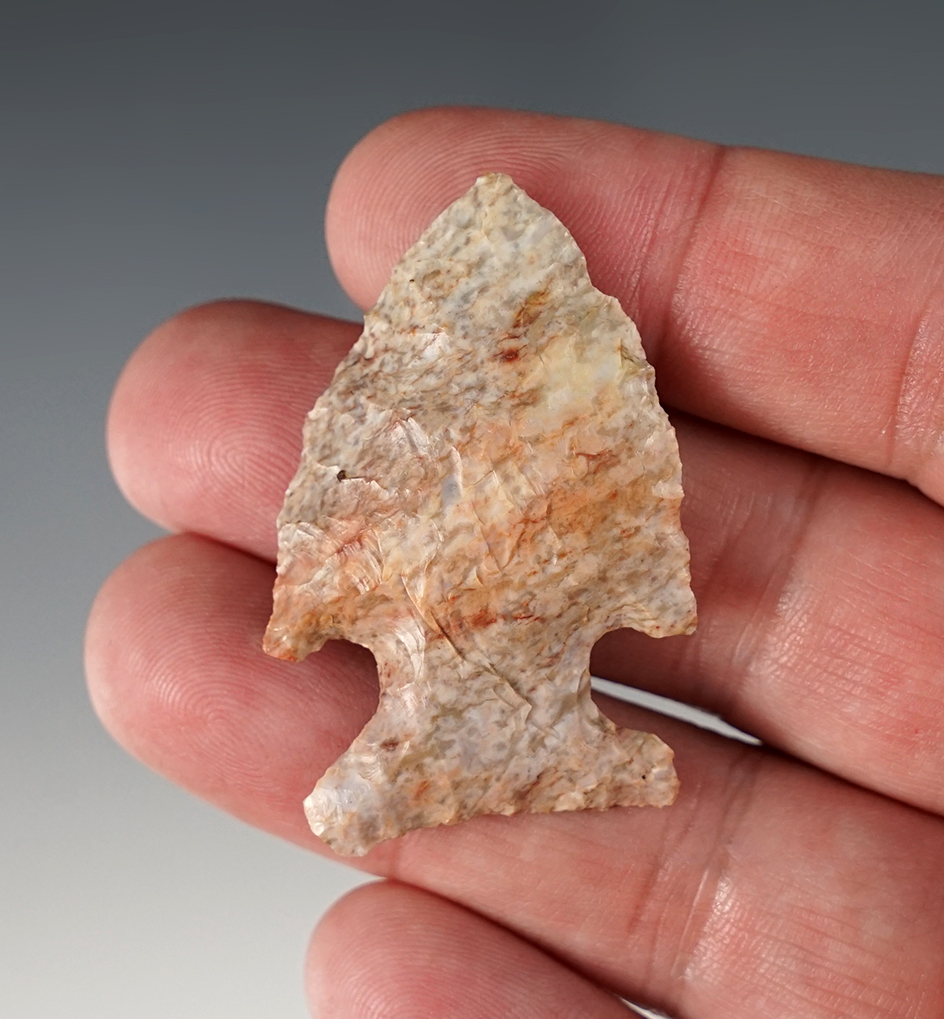 1 7/8" Burlington "strawberry" Side Notch. Found in Calhoun Co., Indiana.