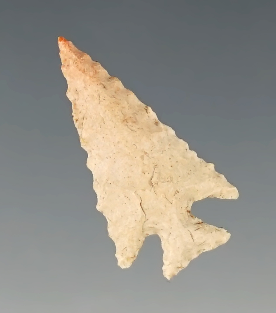 Main artifact image
