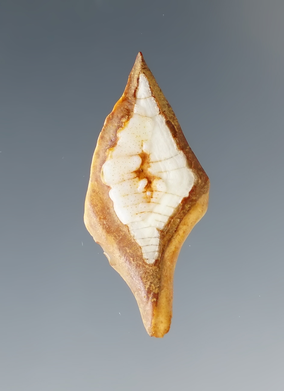 Main artifact image