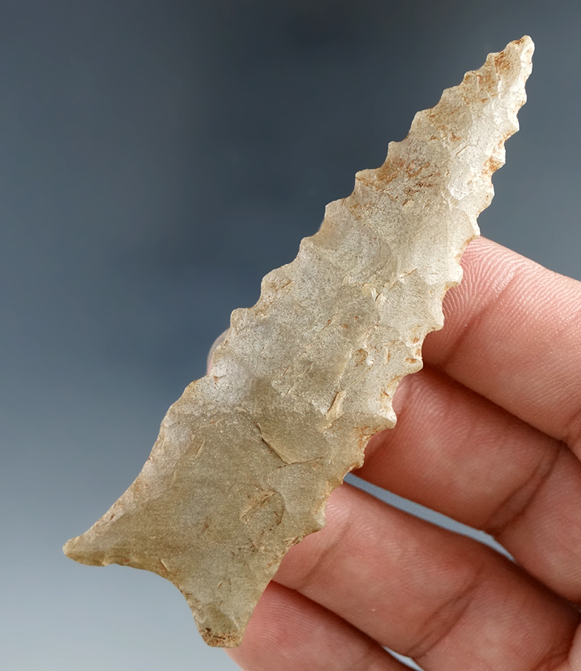 Main artifact image