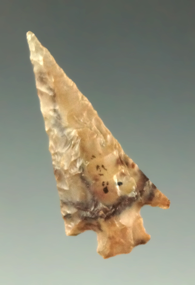 1 1/4" Columbia Plateau found near the Columbia River, Washington.