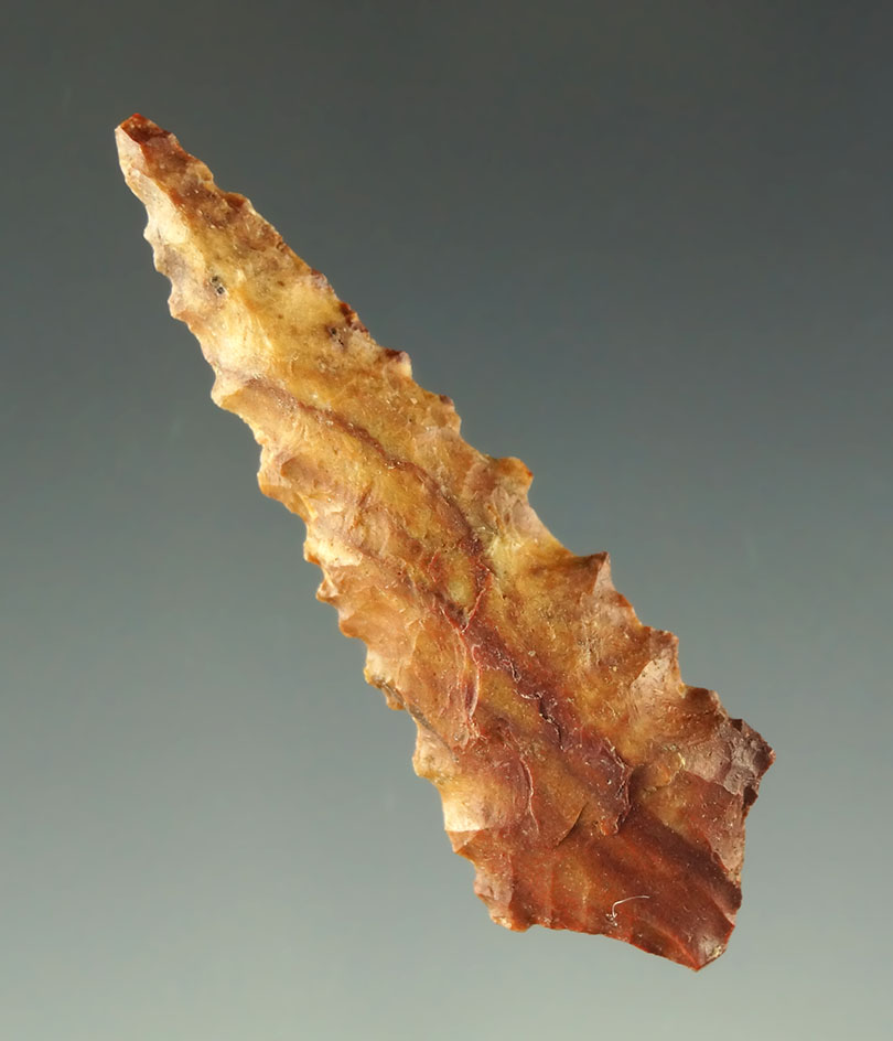 1 13/16" Rabbit Island Dart point - nice the serrated edges - multicolored material. Washington.