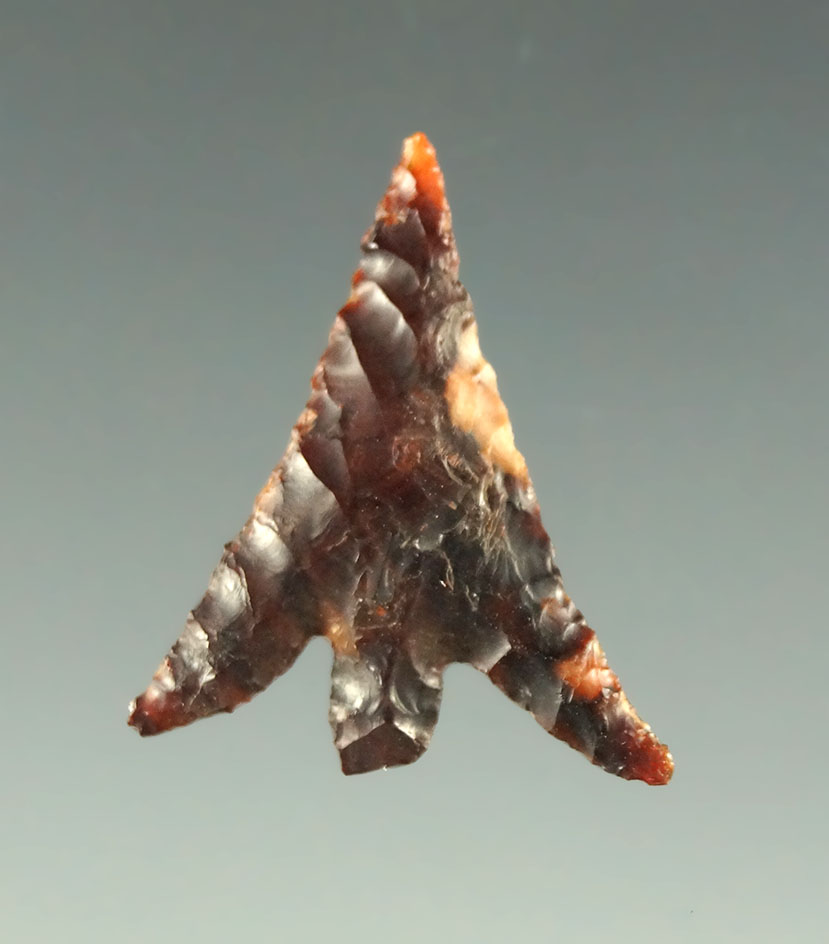 7/8" Columbia Plateau with nice swept wings found in Clark County Washington.