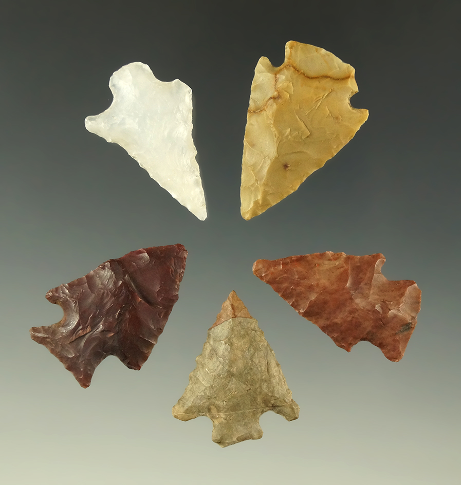 Set of five assorted arrowheads found in Washington, largest is 1 1/4".