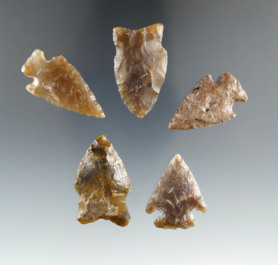 Main artifact image