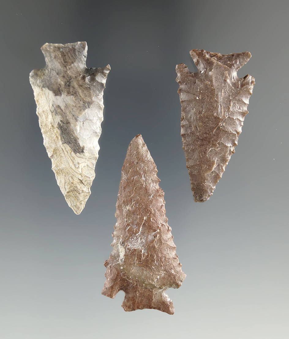 Three well patinated snake River dart points found near Priest Rapids, Columbia River.