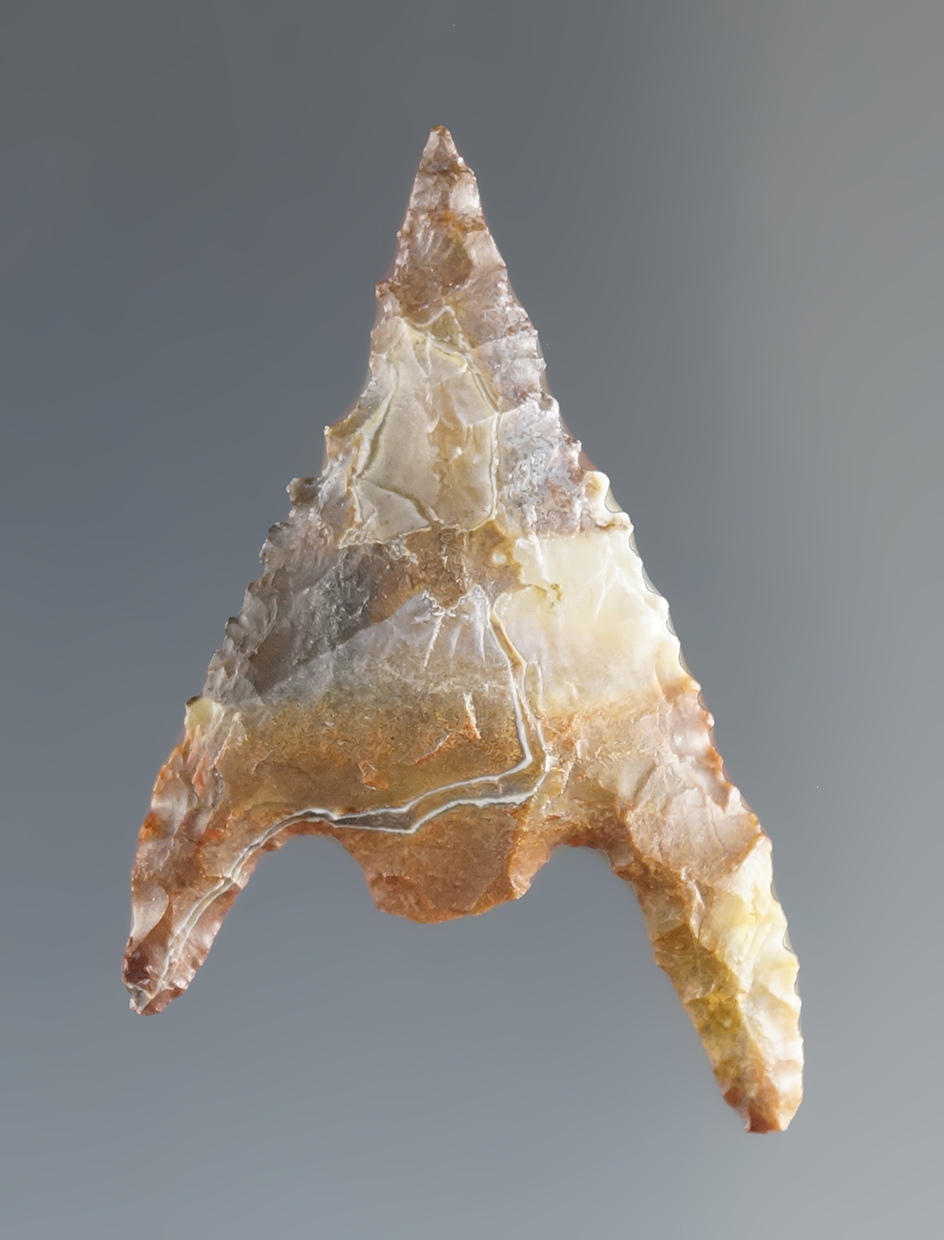 Main artifact image