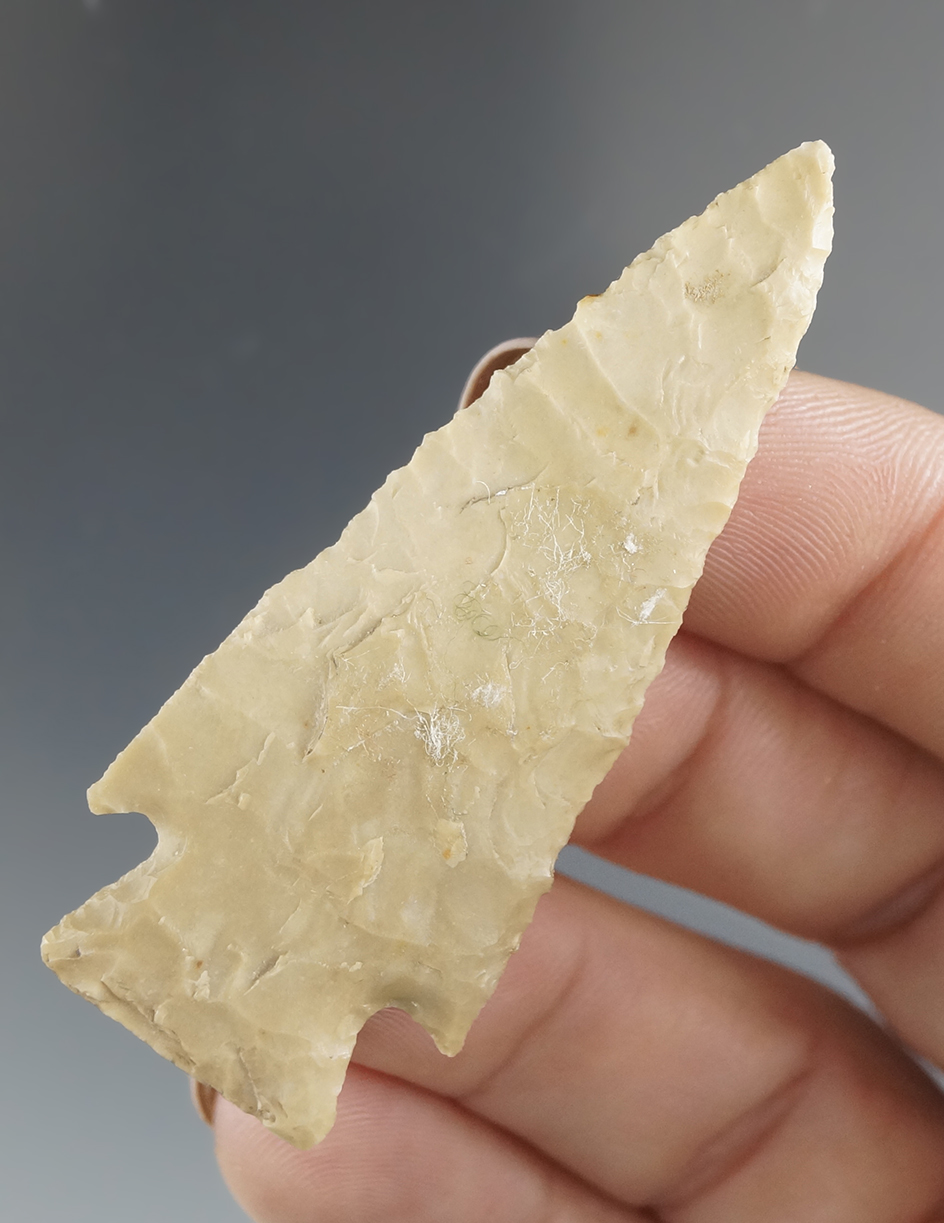 Exceptionally thin and well flaked 2 3/8" Darl point found in Coryell Co., Texas. Rogers COA.