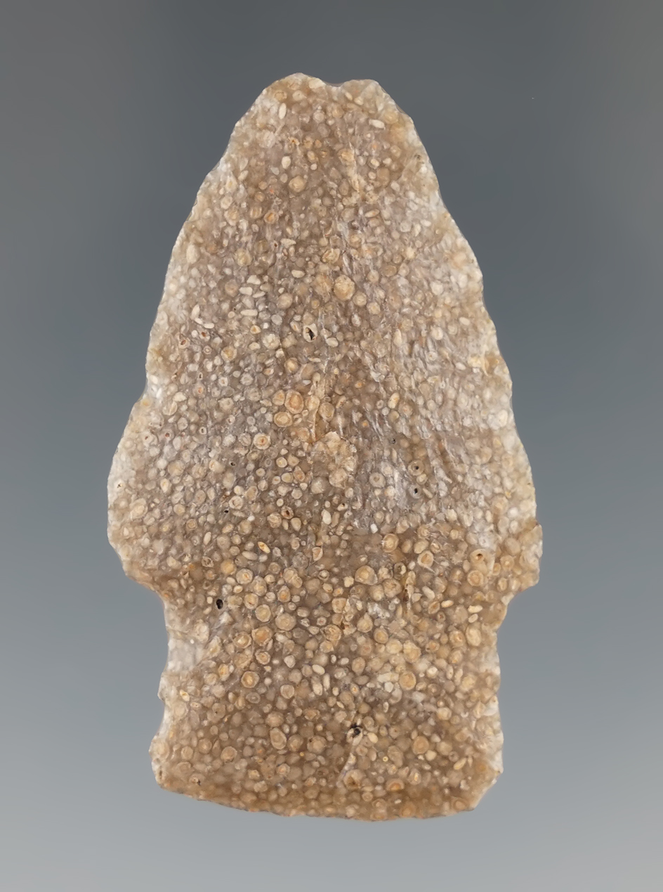 Main artifact image