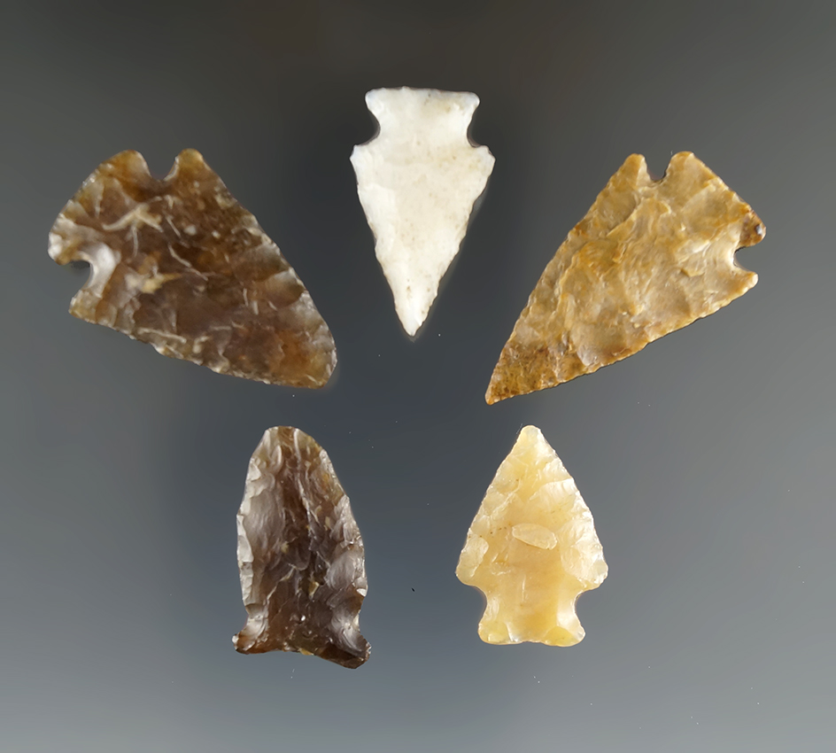 Set of five nice Eastern South Dakota arrowheads, largest is 1 5/16".