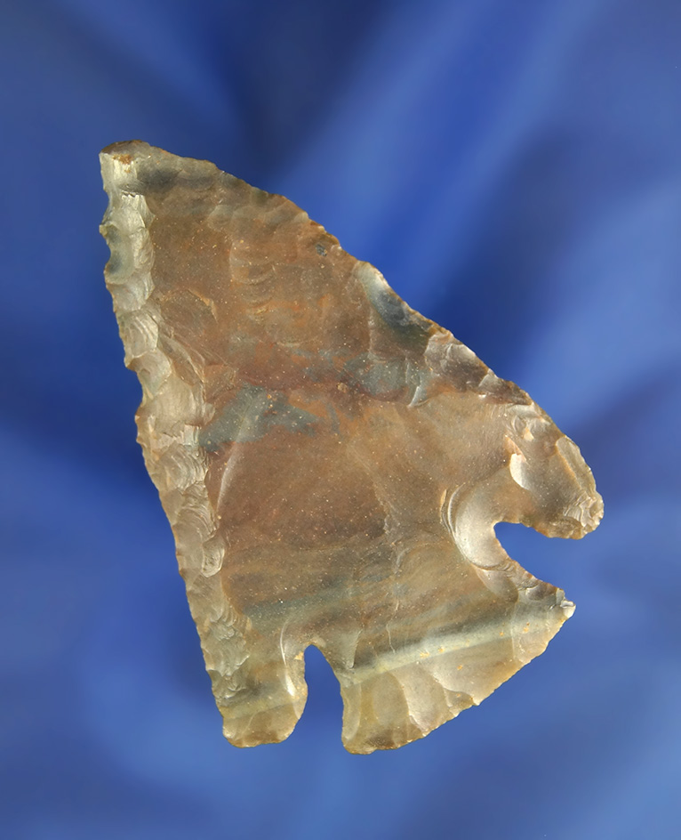 2 9/16" slightly Beveled Archaic Cornernotch- multicolored Flint found in Nelson Co.,  Kentucky.