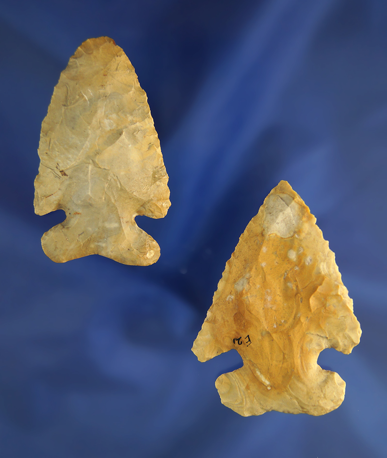 Pair of Archaic Thebes Bevels made from Delaware chert, largest is 2 1/4"  Crawford Co.,  Ohio