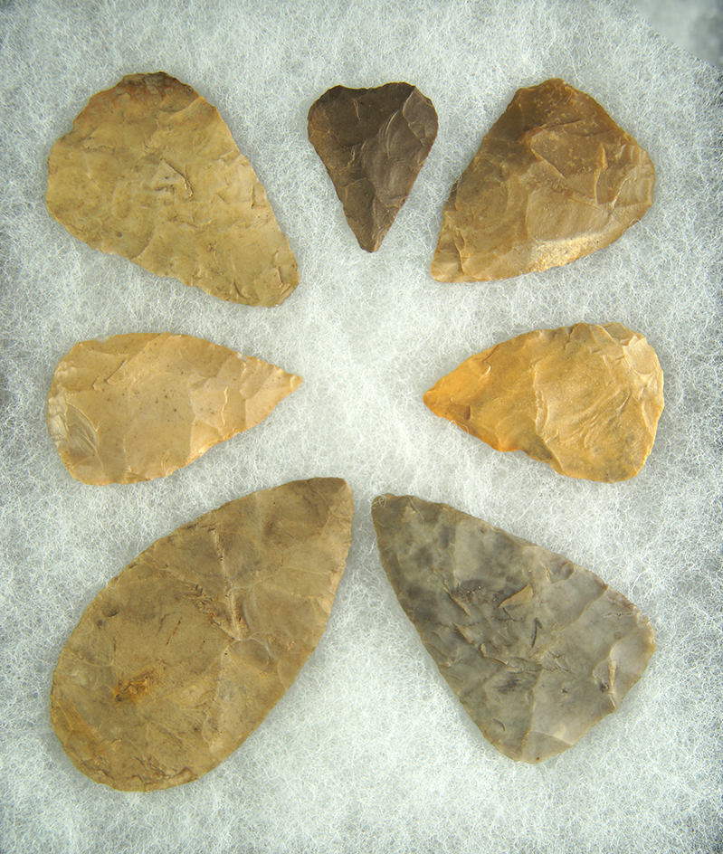 Set of seven Leaf Blades found in Ohio, largest is 2 5/8".